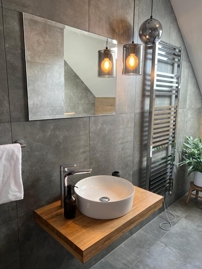 Vila Dvorecna Villa Loučovice Екстериор снимка