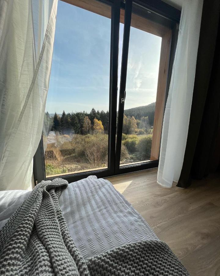 Vila Dvorecna Villa Loučovice Екстериор снимка