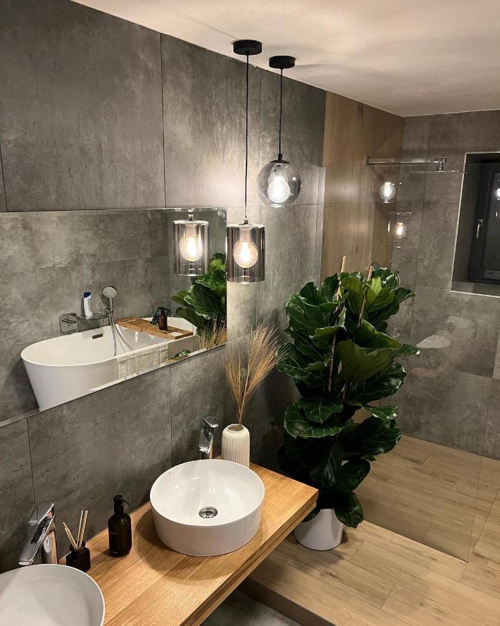 Vila Dvorecna Villa Loučovice Екстериор снимка
