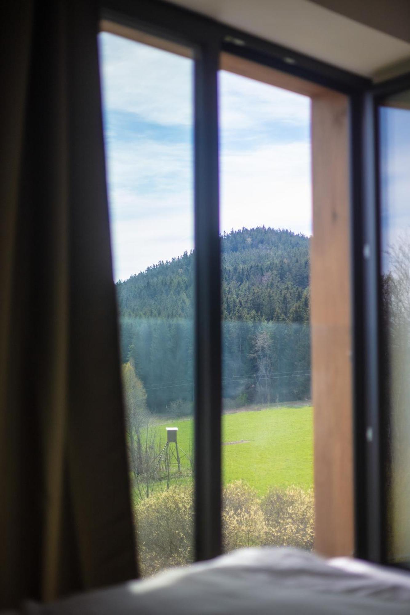 Vila Dvorecna Villa Loučovice Екстериор снимка