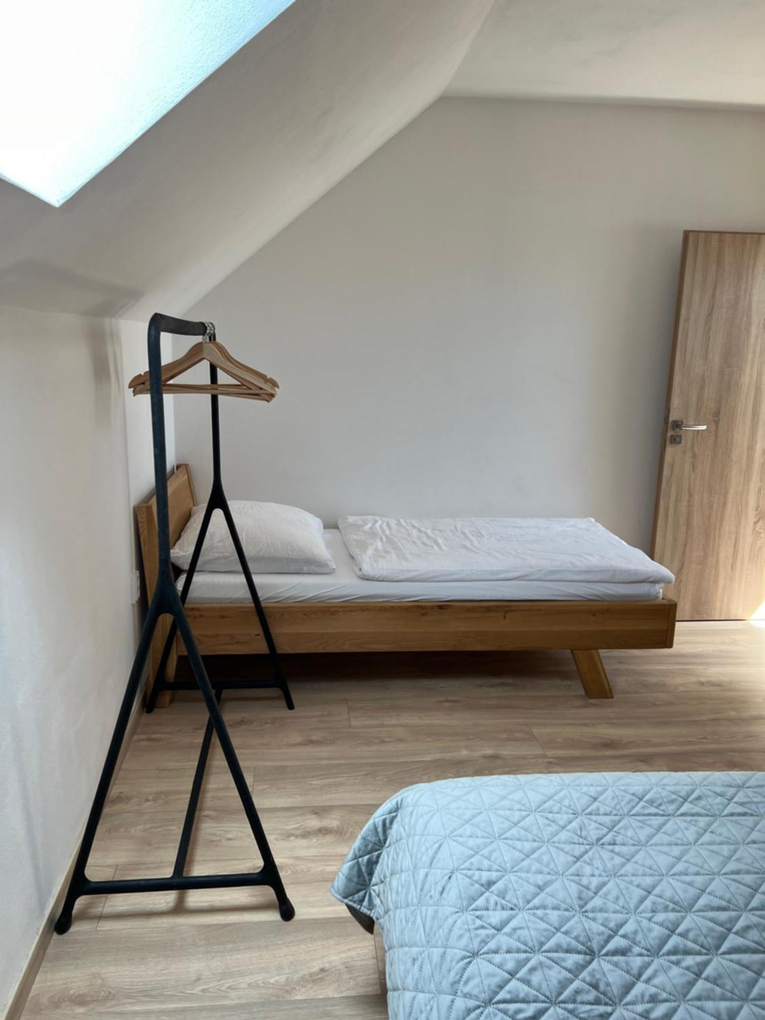 Vila Dvorecna Villa Loučovice Екстериор снимка