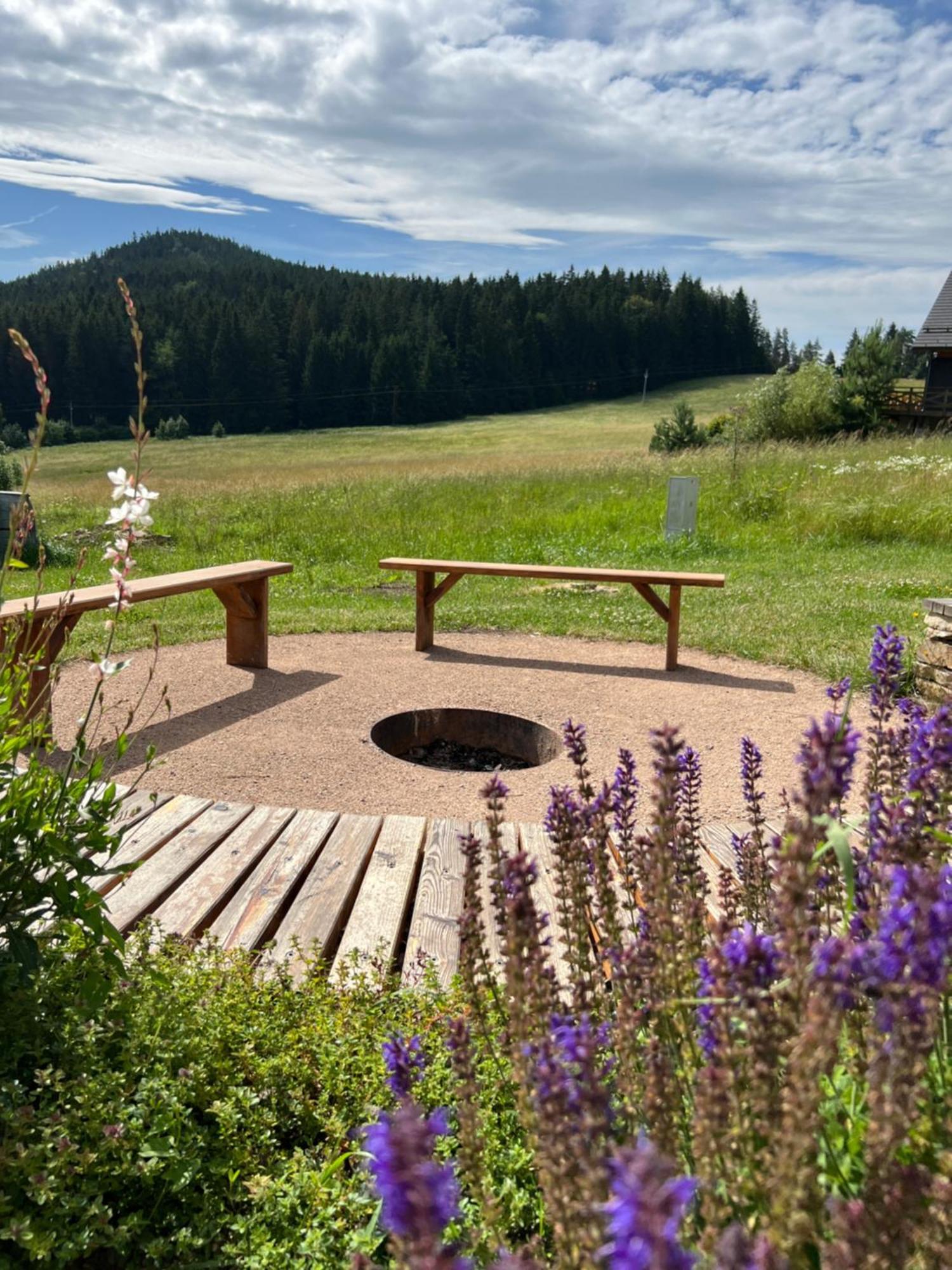 Vila Dvorecna Villa Loučovice Екстериор снимка