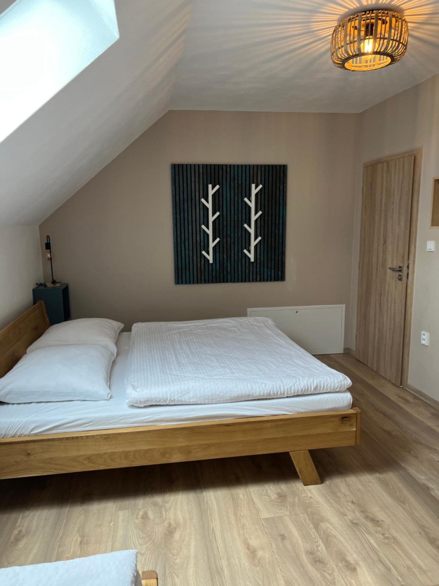 Vila Dvorecna Villa Loučovice Екстериор снимка